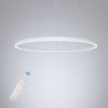80cm led pendel geometrisk cirkel design nordisk moderne enkel til spisestue soveværelse indgang aluminiumsramme akryl sort hvid