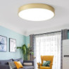 led loftslampe macaron dæmpbar 40cm/50cm/60cm Loftlampe til stue soveværelse kontor