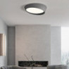 led loftslampe harpiks varm hvid/hvid 50cm loftslampe til stue soveværelse kontor