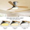 led frekvenskonvertering nordisk Loftlampe lys, 3 lyse farver og 6 vindhastigheder 42/52 tommer industriel Loftlampe lysekrone,