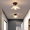semi flush monteret loftslampe, moderne lysarmatur med skærm med frø i glas, olie gnidet bronze finish til entre korridor køkken