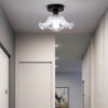 semi flush monteret loftslampe, moderne lysarmatur med skærm med frø i glas, olie gnidet bronze finish til entre korridor køkken