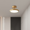 moderne led semi-flush mount loftslampe, 12 cm 3-farve lysskiftende sort/guld loftslampe, kobber loftslysekrone, boligindretning